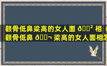 颧骨低鼻梁高的女人面 🌲 相（颧骨低鼻 🐬 梁高的女人面相怎么样）